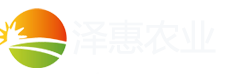 壽光澤惠農(nóng)業(yè)科技有限公司